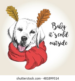 Vector close up portrait of labrador retriever, wearing the red scarf and oak leaf ears. Hand drawn domestic dog illustration. Baby it s cold outside. Autumn engraved funny illustration.