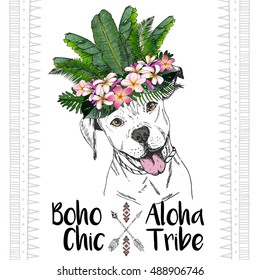 Vector close up portrait of pitbull dog, wearing the exotic flower crown. Hand drawn domestic dog illustration. Tropical Hawaiian boho chic decoration, with palm leaves and flowers. Aloha tribe