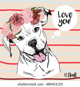 Vector close up portrait of pitbull girl, wearing the flower wreath. Hand drawn domestic pet dog illustration. Isolated on neutral background with red and blue stripes. 