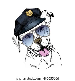 Vector close up portrait of police dog. English pitbull wearing the peak cap and sunglasses. Hand drawn domestic pet dog illustration. Isolated on white background.