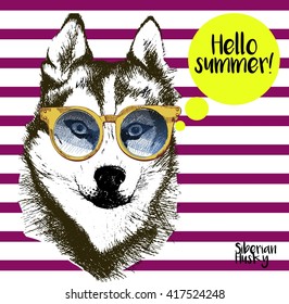 Vector close up portrait of siberian husky wearing the sunglasses. Bright hello summer husky portrait. Hand drawn domestic pet dog illustration. Isolated on background with lilac stripes.