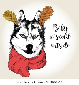 Vector close up portrait of siberian husky, wearing the red scarf and oak leaf ears. Hand drawn domestic dog illustration. Baby it s cold outside. Autumn engraved funny illustration.
