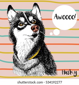 Vector close up portrait of siberian husky. Hand drawn domestic pet dog illustration. Isolated on peach background with color strips. 