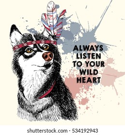 Vector close up portrait of siberian husky, wearing the indian feather headpiece. Hand drawn domestic pet dog illustration. Isolated on rose background with pastel blots.