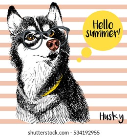 Vector close up portrait of siberian husky wearing the sunglasses. Bright hello summer husky portrait. Hand drawn domestic pet dog illustration. Isolated on background with peach stripes.