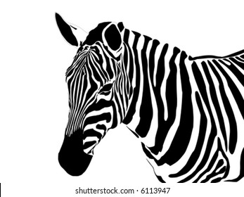 9,443 Zebra head isolated Images, Stock Photos & Vectors | Shutterstock