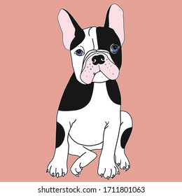 vector closeup portrait of  dog French Bulldog