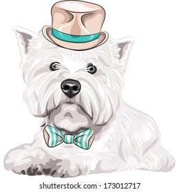 Retrato de vector hipster perro serio West Highland White Terrier raza con un sombrero de seda beige y corbata de arco