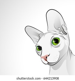 Vector closeup portrait of sphinx cat with big green eyes