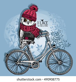 Vector clothing white owl with bicycle. Bicycle trip. Vector owl in a knitted hat and scarf. Hand drawn illustration of dressed owl.