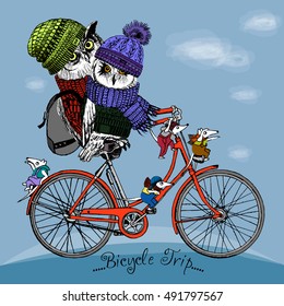 Vector clothing white owls and mouse on bicycle. Bicycle trip. Vector owls in a knitted hats and scarfs. Hand drawn illustration of dressed owls and mouse. 