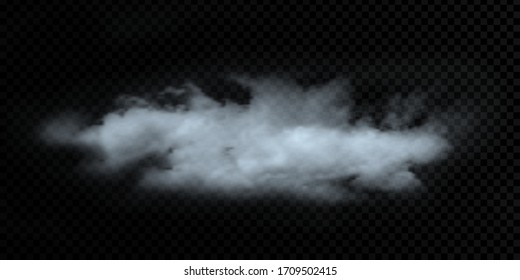 Vector cloud on a transparent background, realistic vector drawing. Gradient mesh, EPS10.