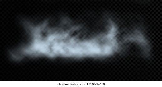 Vector cloud on a transparent background, realistic vector drawing. Gradient mesh, EPS10.