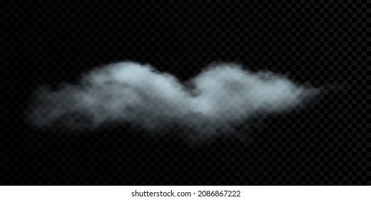 Vector cloud on a transparent background, smoke. Gradient mesh.