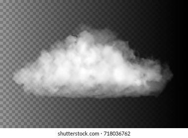 Vector cloud on the transparent background.