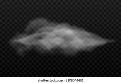 Vector cloud of smoke or fog. Fog or cloud on an isolated transparent background. Smoke, fog, cloud png.