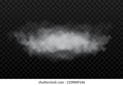 Vector cloud of smoke or fog. Fog or cloud on an isolated transparent background. Smoke, fog, cloud png.