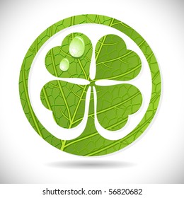 vector clover