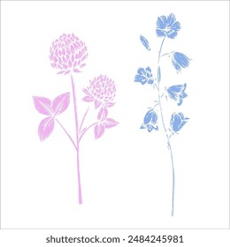 Vector clover and bluebell. Hand painted flower. Graphic trefoil isolated on background. Botanical and wedding illustration. For designers, invitations, decoration, postcards, wrpping paper, scrapbook