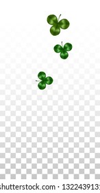 Vector Clover Leaf  and Ireland Flag Isolated on Transparent Background. St. Patrick's Day Illustration. Ireland's Lucky Shamrock Poster.  Card for Patrick's Party. Success Symbols.