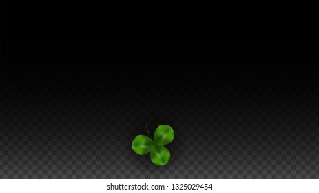 Vector Clover Leaf  and Ireland Flag Isolated on Transparent Background. St. Patrick's Day Illustration. Ireland's Lucky Shamrock Poster.  Invitation for Irish Concert in Pub. Top View.