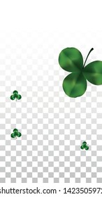 Vector Clover Leaf  and Ireland Flag Isolated on Transparent Background. St. Patrick's Day Illustration. Ireland's Lucky Shamrock Poster.  Invitation for Irish Party. Top View.