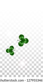 Vector Clover Leaf  Isolated on Transparent Background with Space for Text. St. Patrick's Day Illustration. Ireland's Lucky Shamrock Poster. Invintation for Concert in Pub. Top View.  Success Symbols.