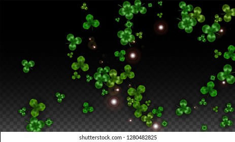 Vector Clover Leaf  Isolated on Transparent Background with Space for Text. St. Patrick's Day Illustration. Ireland's Lucky Shamrock Poster. Invintation for Irish Party Flatlay.  Success Symbols.