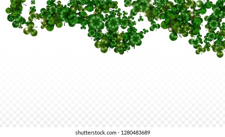 Vector Clover Leaf  Isolated on Transparent Background with Space for Text. St. Patrick's Day Illustration. Ireland's Lucky Shamrock Poster. Banner for Irish Party Top View.  Success Symbols.