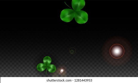 Vector Clover Leaf  Isolated on Transparent Background with Space for Text. St. Patrick's Day Illustration. Ireland's Lucky Shamrock Poster. Invintation for Irish Party Flatlay.  Success Symbols.