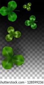 Vector Clover Leaf  Isolated on Transparent Background with Space for Text. St. Patrick's Day Illustration. Ireland's Lucky Shamrock Poster. Banner for Irish Party Flatlay.  Success Symbols.