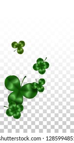 Vector Clover Leaf  Isolated on Transparent Background with Space for Text. St. Patrick's Day Illustration. Ireland's Lucky Shamrock Poster. Banner for Irish Party Flatlay.  Success Symbols.
