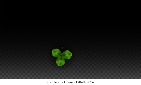 Vector Clover Leaf  Isolated on Transparent Background with Space for Text. St. Patrick's Day Illustration. Ireland's Lucky Shamrock Poster. Invintation for Irish Party Top View.  Success Symbols.