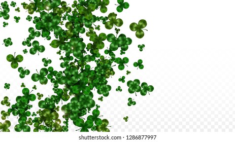 Vector Clover Leaf  Isolated on Transparent Background with Space for Text. St. Patrick's Day Illustration. Ireland's Lucky Shamrock Poster. Invintation for Concert in Pub. Top View.  Success Symbols.