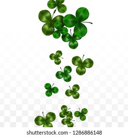 Vector Clover Leaf  Isolated on Transparent Background with Space for Text. St. Patrick's Day Illustration. Ireland's Lucky Shamrock Poster. Invintation for Concert in Pub. Flatlay.  Success Symbols.
