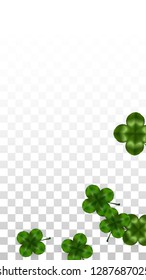 Vector Clover Leaf  Isolated on Transparent Background with Space for Text. St. Patrick's Day Illustration. Ireland's Lucky Shamrock Poster. Invintation for Irish Party Flatlay.  Success Symbols.