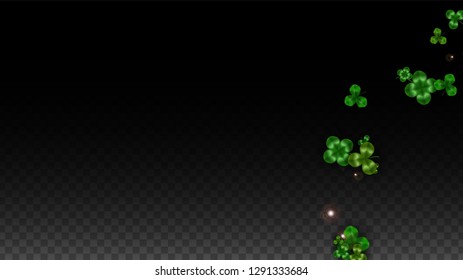Vector Clover Leaf  Isolated on Transparent Background with Space for Text. St. Patrick's Day Illustration. Ireland's Lucky Shamrock Poster. Invintation for Irish Party Top View.  Success Symbols.