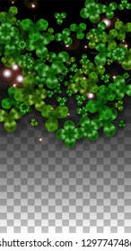 Vector Clover Leaf  Isolated on Transparent Background with Space for Text. St. Patrick's Day Illustration. Ireland's Lucky Shamrock Poster. Invintation for Irish Party Flatlay.  Success Symbols.