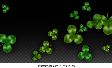 Vector Clover Leaf  Isolated on Transparent Background with Space for Text. St. Patrick's Day Illustration. Ireland's Lucky Shamrock Poster. Banner for Concert in Pub. Top View.  Success Symbols.