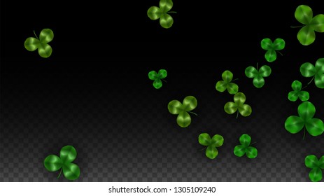 Vector Clover Leaf  Isolated on Transparent Background with Space for Text. St. Patrick's Day Illustration. Ireland's Lucky Shamrock Poster. Invintation for Concert in Pub. Flatlay.  Success Symbols.