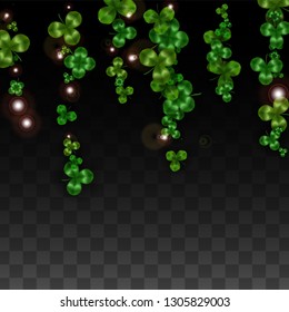 Vector Clover Leaf  Isolated on Transparent Background with Space for Text. St. Patrick's Day Illustration. Ireland's Lucky Shamrock Poster. Banner for Irish Party Flatlay.  Success Symbols.
