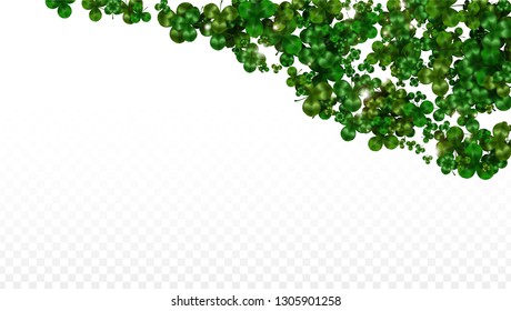 Vector Clover Leaf  Isolated on Transparent Background with Space for Text. St. Patrick's Day Illustration. Ireland's Lucky Shamrock Poster. Invintation for Irish Party Flatlay.  Success Symbols.