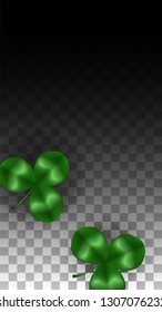 Vector Clover Leaf  Isolated on Transparent Background with Space for Text. St. Patrick's Day Illustration. Ireland's Lucky Shamrock Poster. Invintation for Concert in Pub. Top View.  Success Symbols.