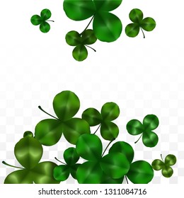 Vector Clover Leaf  Isolated on Transparent Background with Space for Text. St. Patrick's Day Illustration. Ireland's Lucky Shamrock Poster. Invintation for Concert in Pub. Flatlay.  Success Symbols.