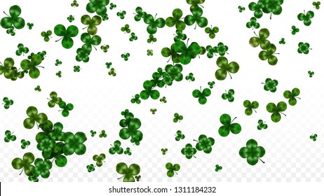 Vector Clover Leaf  Isolated on Transparent Background with Space for Text. St. Patrick's Day Illustration. Ireland's Lucky Shamrock Poster. Invintation for Irish Party Top View.  Success Symbols.