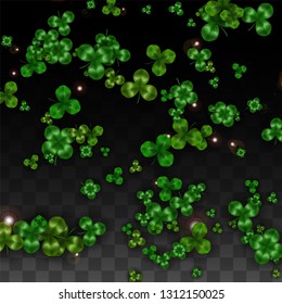 Vector Clover Leaf  Isolated on Transparent Background with Space for Text. St. Patrick's Day Illustration. Ireland's Lucky Shamrock Poster. Invintation for Concert in Pub. Top View.  Success Symbols.
