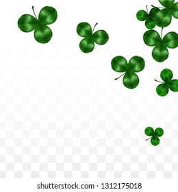 Vector Clover Leaf  Isolated on Transparent Background with Space for Text. St. Patrick's Day Illustration. Ireland's Lucky Shamrock Poster. Banner for Concert in Pub. Top View.  Success Symbols.