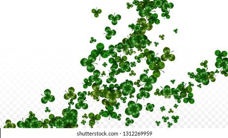 Vector Clover Leaf  Isolated on Transparent Background with Space for Text. St. Patrick's Day Illustration. Ireland's Lucky Shamrock Poster. Banner for Concert in Pub. Flatlay.  Success Symbols.