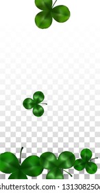 Vector Clover Leaf  Isolated on Transparent Background with Space for Text. St. Patrick's Day Illustration. Ireland's Lucky Shamrock Poster. Invintation for Concert in Pub. Top View.  Success Symbols.