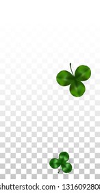 Vector Clover Leaf  Isolated on Transparent Background with Space for Text. St. Patrick's Day Illustration. Ireland's Lucky Shamrock Poster. Banner for Concert in Pub. Flatlay.  Success Symbols.